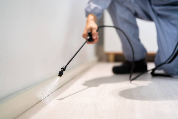 Rodent Entry Point Assessment in Providence