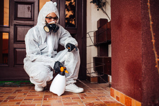 Attic and Crawl Space Rodent Treatment in Providence